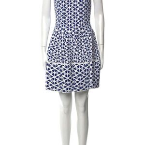 Alexander McQueen Blue and White Fit and Flare Mini Dress